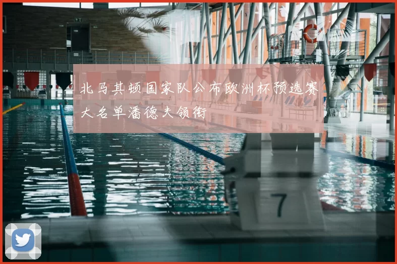 北马其顿国家队公布欧洲杯预选赛大名单潘德夫领衔