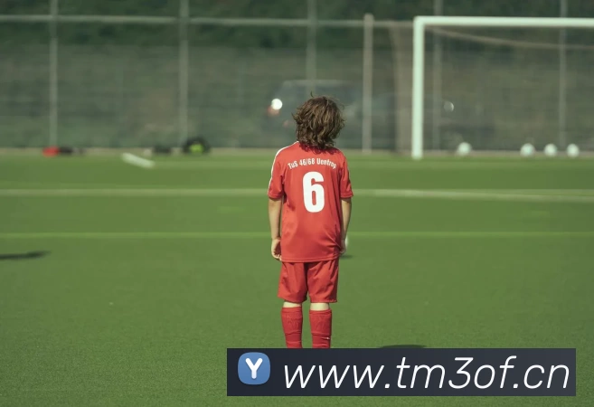 App Interface Preview